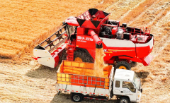 <b>实现高效、低丧失的“无人化”收</b>